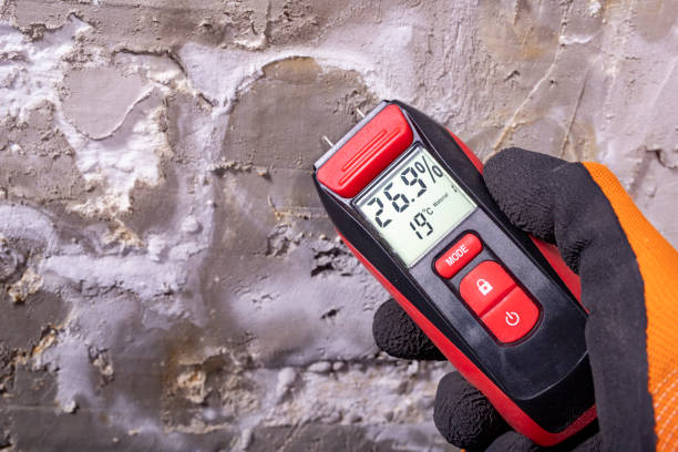 Best Emergency Mold Removal  in Ridgefield, WA