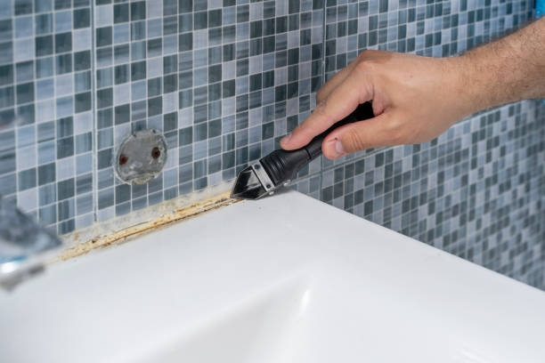 Best Home Mold Removal  in Ridgefield, WA